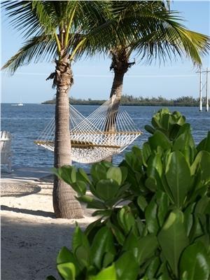 Banana Bay Resort (Adults Only) Key West Exterior foto